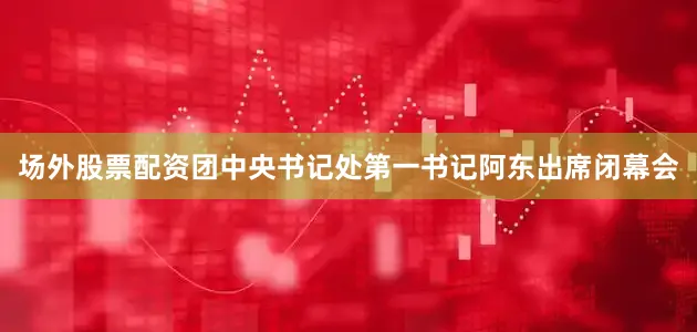场外股票配资团中央书记处第一书记阿东出席闭幕会