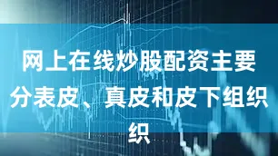 网上在线炒股配资主要分表皮、真皮和皮下组织