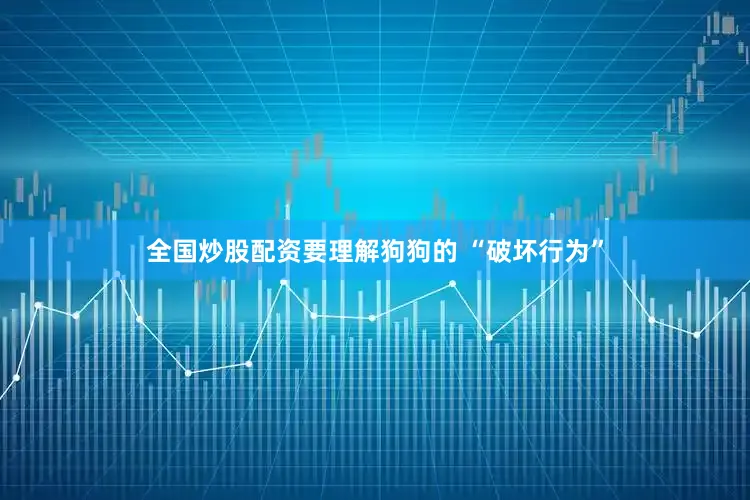 全国炒股配资要理解狗狗的 “破坏行为”